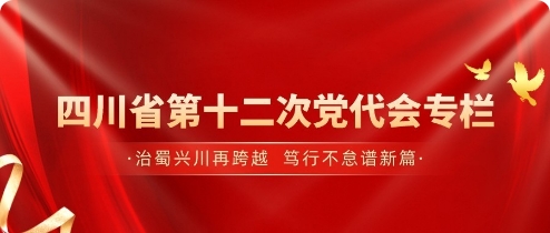 中國共產黨第十二次黨代會專欄